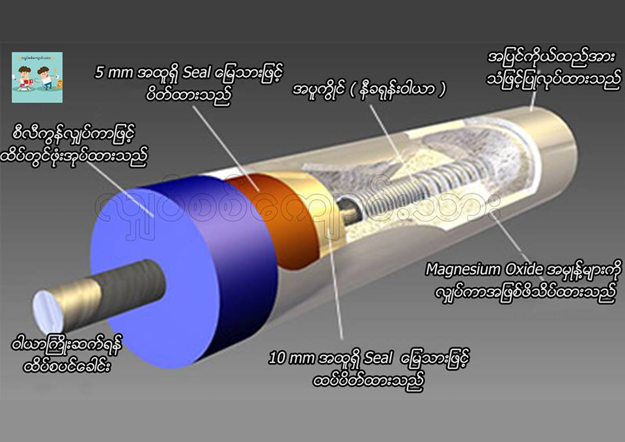 Home Appliances ( 1 – 1 ) မီးဖိုကွိုင်ကိုလေ့လာခြင်း